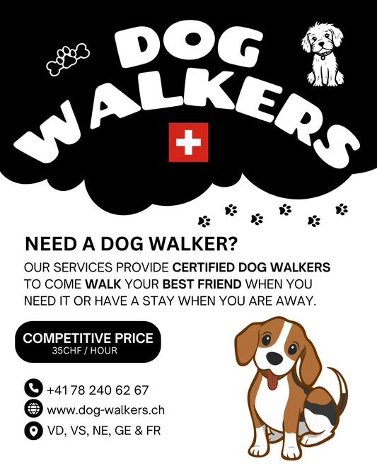 From Commugny to Founex: The Most Trusted Dog Walkers in the Region