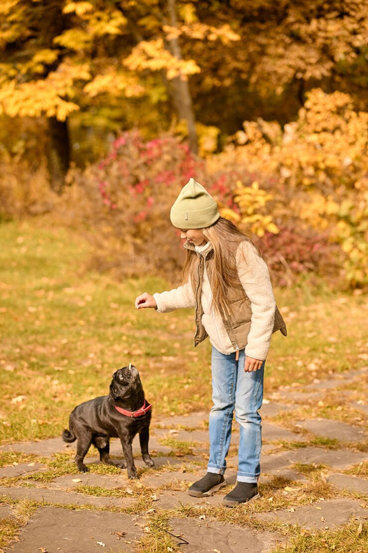 Looking for a Dog Walker in Nyon? Here’s What to Know Before You Book